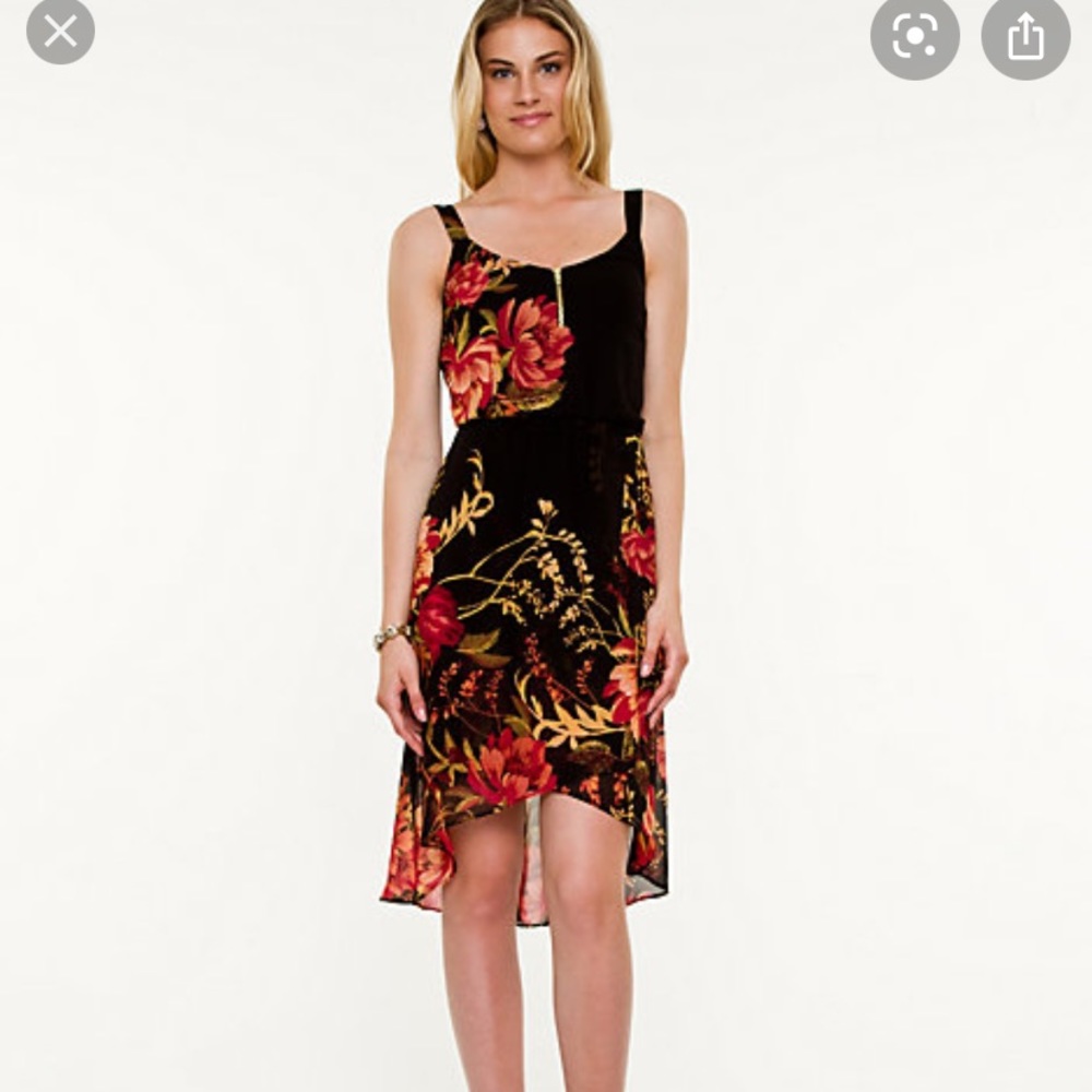 Le Chateau Chiffon Hi Low Dress